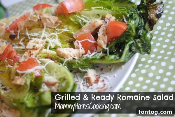 Grilled Chicken & Crisp Romaine Salad 2 Grilled Romaine Chicken Salad