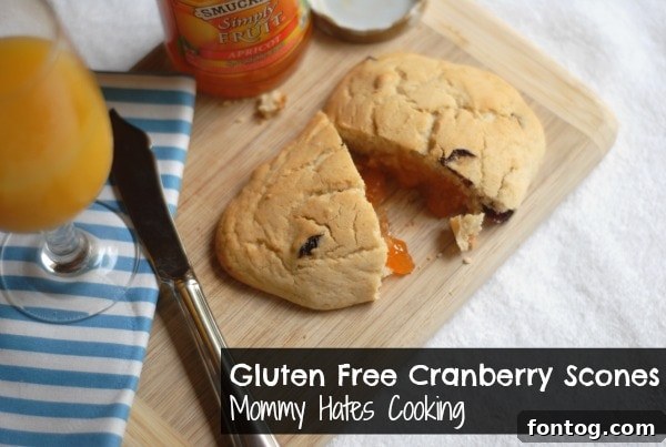 Delicious Pamela's Gluten Free Cranberry Scones