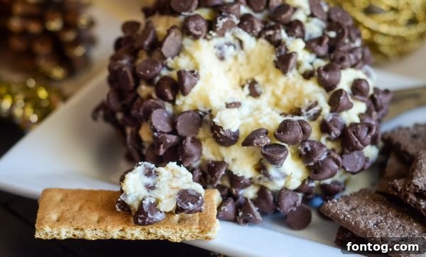 Dreamy Chocolate Chip Cheesecake Delight 3 Chocolate Chip Cheesecake Ball with dippers