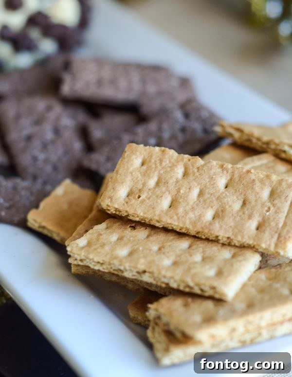 Dreamy Chocolate Chip Cheesecake Delight 4 Chocolate Chip Cheesecake Ball ready for a party