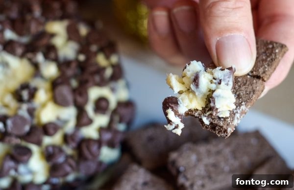 Dreamy Chocolate Chip Cheesecake Delight 5 Ingredients for Chocolate Chip Cheesecake Ball