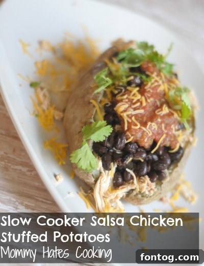 Delicious Slow Cooker Salsa Chicken Stuffed Potatoes
