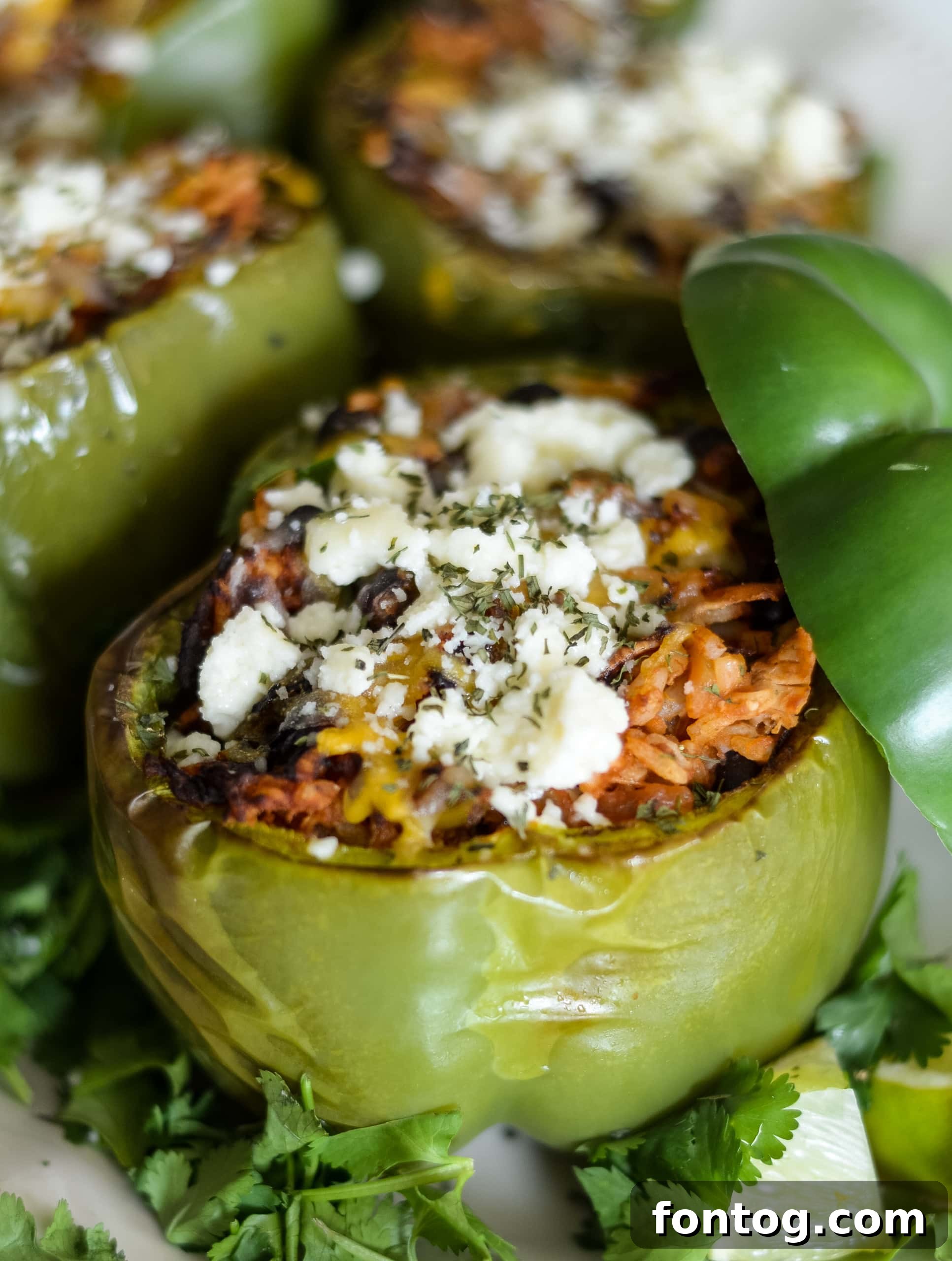 Stuffed Chicken Peppers