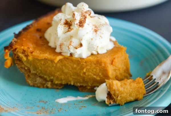 Simply Divine Gluten-Free Pumpkin Pie 5 Gluten-Free Pumpkin Pie stored safely in a refrigerator, ready for later enjoyment.