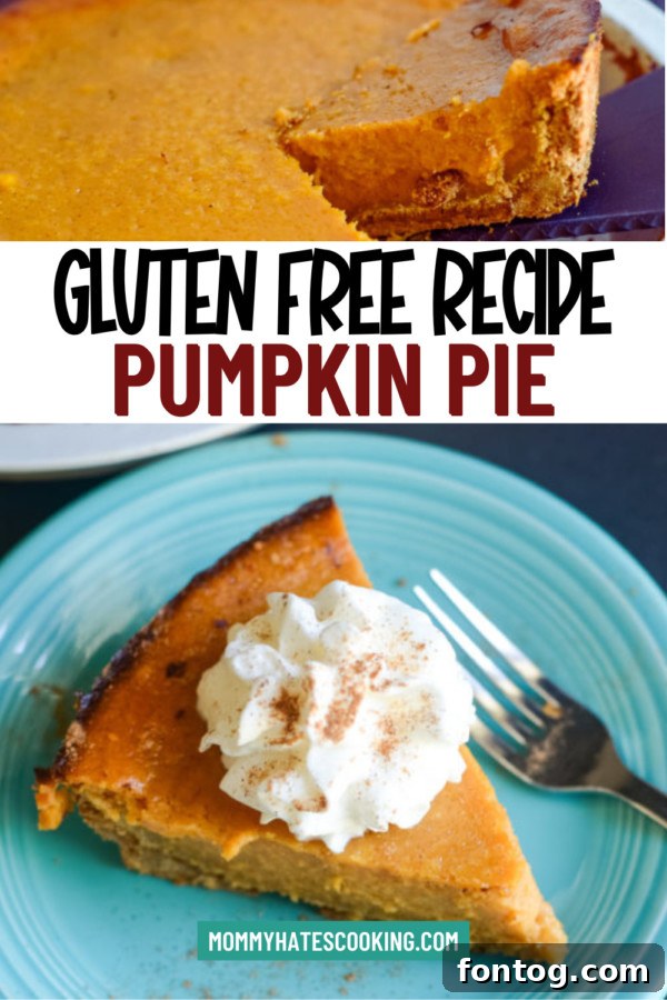 Simply Divine Gluten-Free Pumpkin Pie 6 A close-up of a single slice of Gluten-Free Pumpkin Pie, highlighting its smooth texture and rich color.