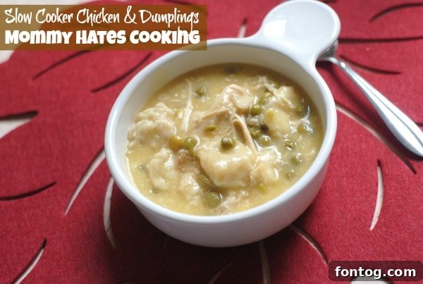 Slow Cooker Chicken & Dumplings by Kristy Still