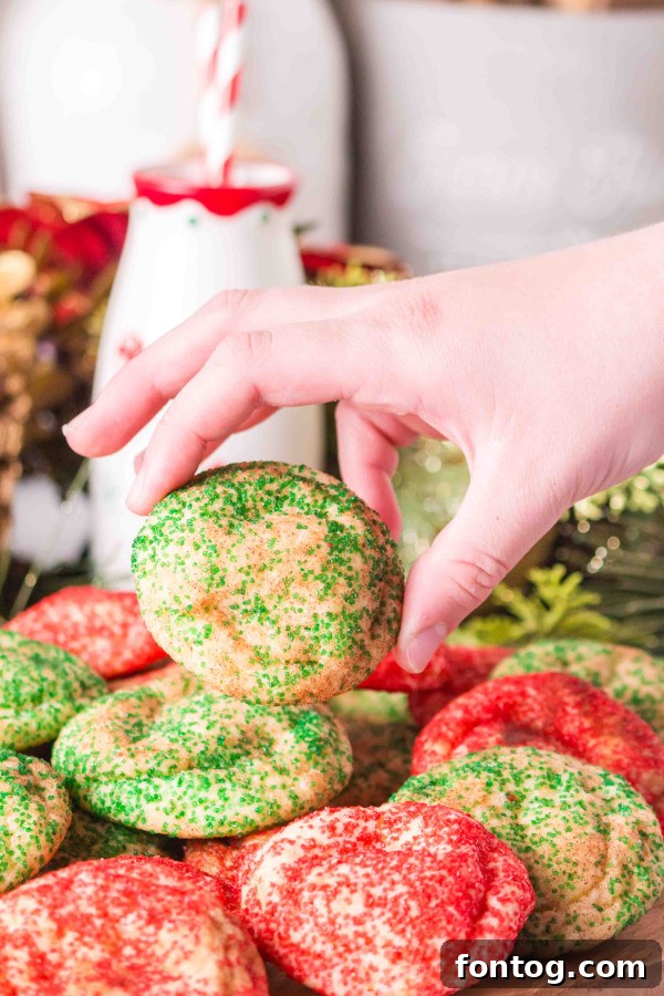 assortment of christmas snickerdoodle cookies