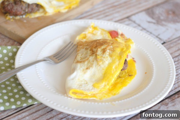 The Burger Fold 4 Three Hamburger Stuffed Omelets on a plate, ready to serve