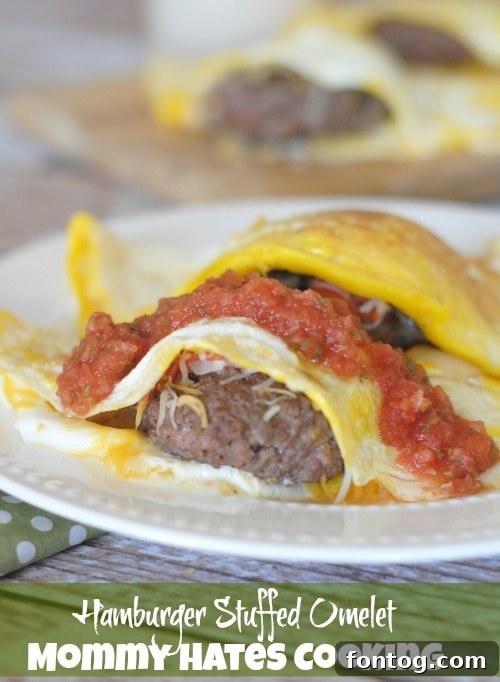 The Burger Fold 6 A delicious Hamburger Stuffed Omelet with a side of fruit