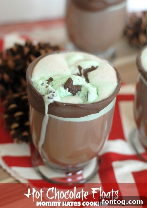 Velvet Cloud Hot Chocolate Floats 2 Delicious Hot Chocolate Floats with Mint Chocolate Chip Ice Cream