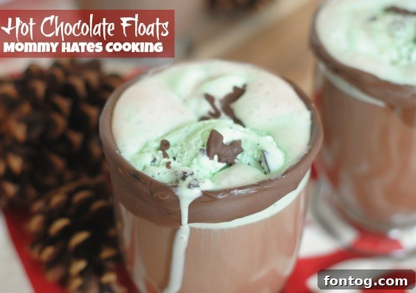 Velvet Cloud Hot Chocolate Floats 3 Close-up of a Hot Chocolate Float with a chocolate-dipped rim and chocolate pieces