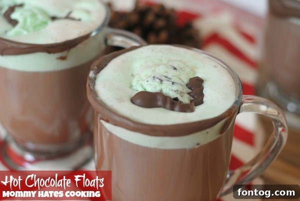 Velvet Cloud Hot Chocolate Floats 6 Two glasses of Hot Chocolate Floats garnished with chocolate pieces