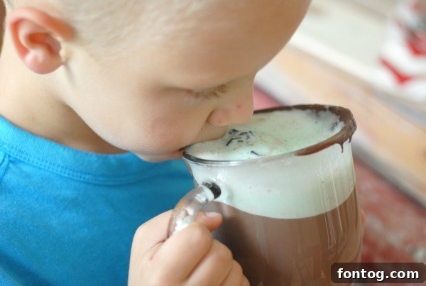 Velvet Cloud Hot Chocolate Floats 7 Individual serving of Hot Chocolate Float with a decorative straw