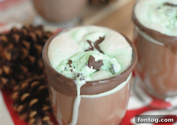 Hot Chocolate Floats