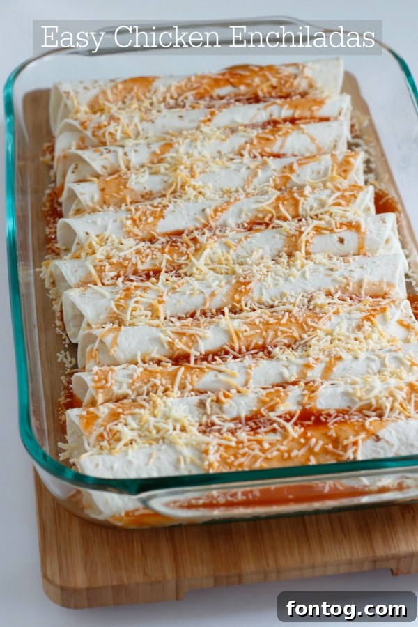 Easy Make-Ahead Chicken Enchiladas Recipe