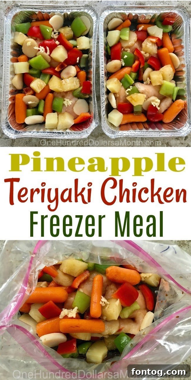 Freezer Meals – Pineapple Teriyaki Chicken in a freezer bag