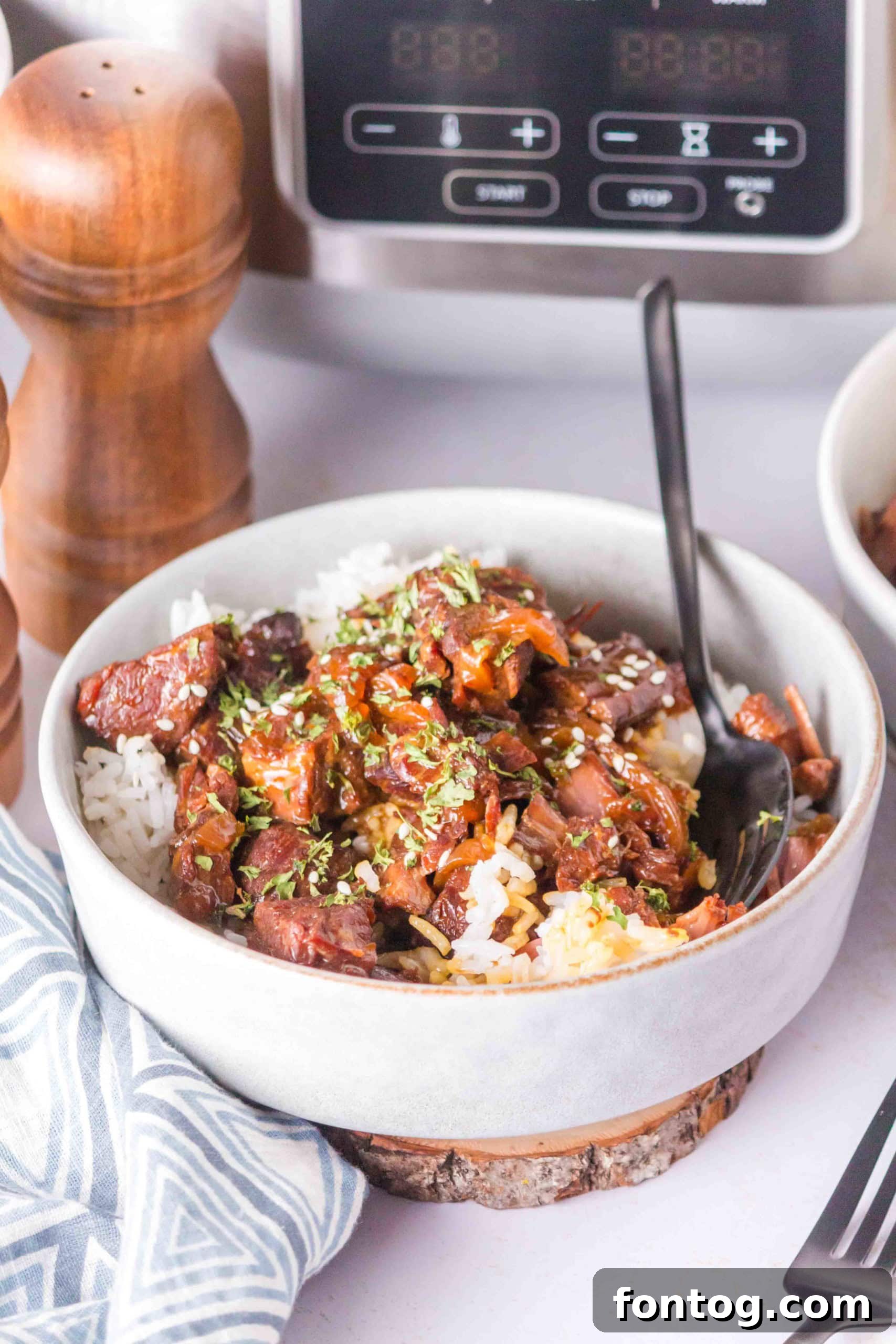 Beef Teriyaki Slow Cooker served with rice