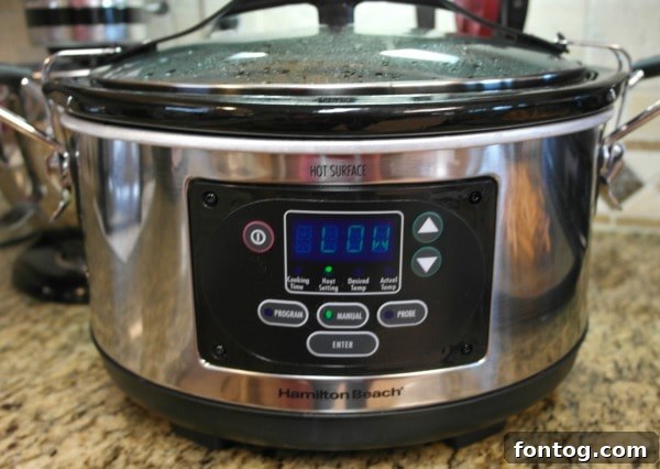Tender Slow Cooker Apple Cinnamon Chicken 5 A reliable Hamilton Beach Set & Forget Slow Cooker