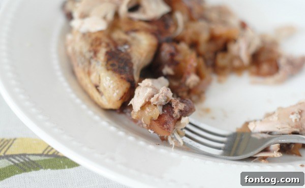 Tender Slow Cooker Apple Cinnamon Chicken 7 Delicious Slow Cooker Apple Cinnamon Chicken close-up