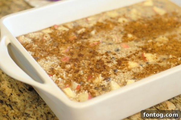 Apple Pie Spiced Baked Oats 3 Close-up of baked apple cinnamon steel cut oats in a baking dish, showcasing the hearty texture and rich color. A perfect breakfast option.