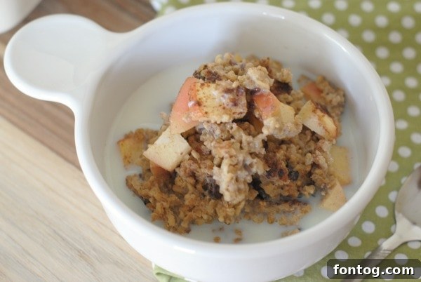 Apple Pie Spiced Baked Oats 4 Close-up shot of baked apple cinnamon steel cut oats, showing the rich texture and warming spices, ideal for a wholesome breakfast.