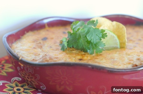 A spoon digging into the warm, cheesy, and spicy broiled bean dip, revealing the creamy texture underneath the toasted cheese layer. This appetizing image highlights the perfect consistency for dipping with tortilla chips.