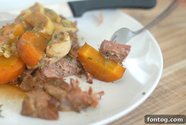 Slow Cooker Steak and Veggies 4 A close-up of a serving of tender slow cooker steak with gravy, carrots, and squash
