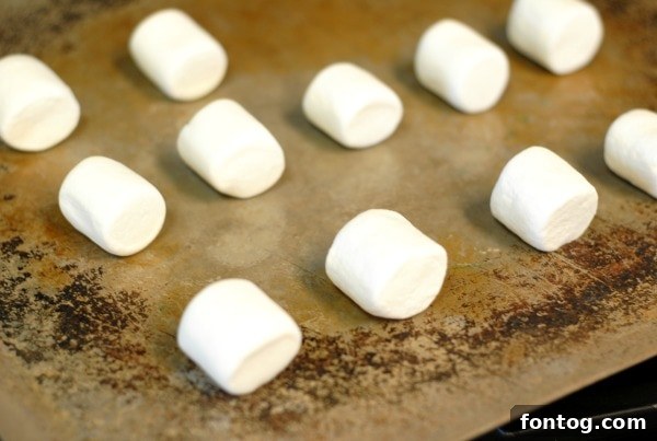 An overhead view of a Peppermint S'mores Hot Chocolate Float, showing all the delightful toppings.