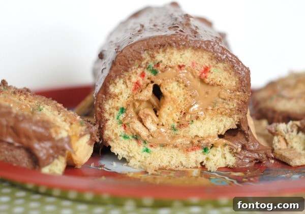 Chocolate Covered Peanut Butter Jelly Roll