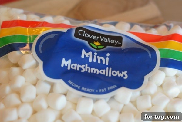 Dollar General Dash 4 Dollar General shopping cart full of products