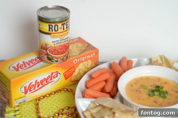 Queso with Just 2 Ingredients 3 Close-up of Queso with Chips and Tortillas