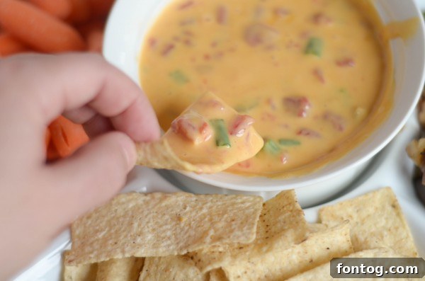 Queso with Just 2 Ingredients 5 A spread of 2-Ingredient Queso with various sides