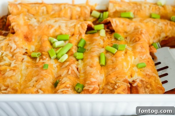 Smoky Chicken Enchilada Casserole 5 Close-up of BBQ chicken enchiladas, showing the texture and sauciness