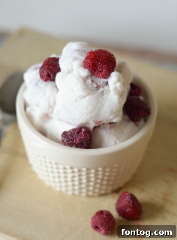 Creamy Raspberry Vanilla Bliss 2 Rich Homemade Raspberry Vanilla Ice Cream in a bowl with fresh raspberries
