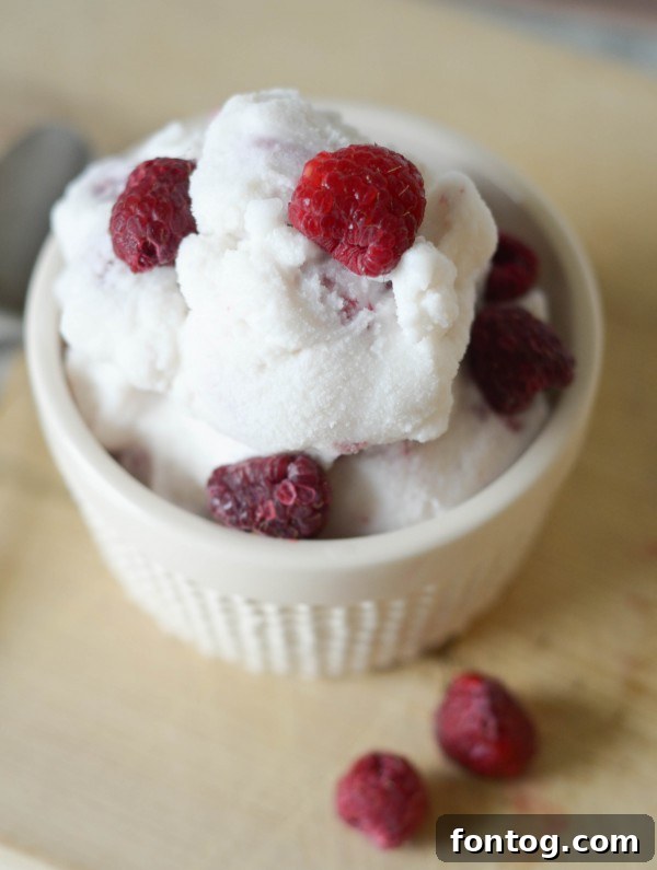 Creamy Raspberry Vanilla Bliss 3 Delicious Homemade Raspberry Vanilla Ice Cream ready to be served