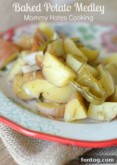 Potato Bake Bonanza 2 Delicious Baked Potato Medley with Swanson Broth