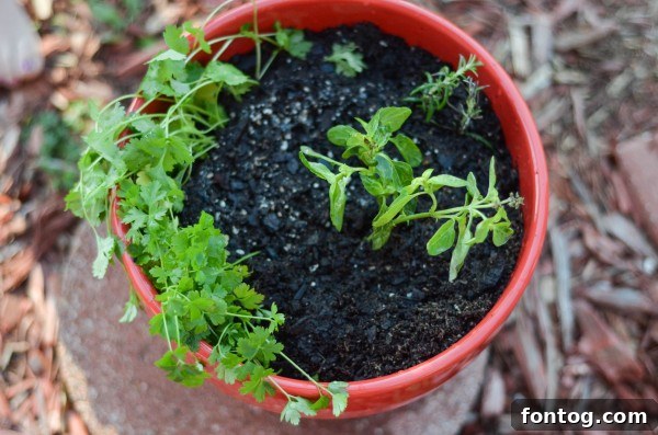 Start Right, End Right this Spring #StartRightEndRight #CG #Ad 