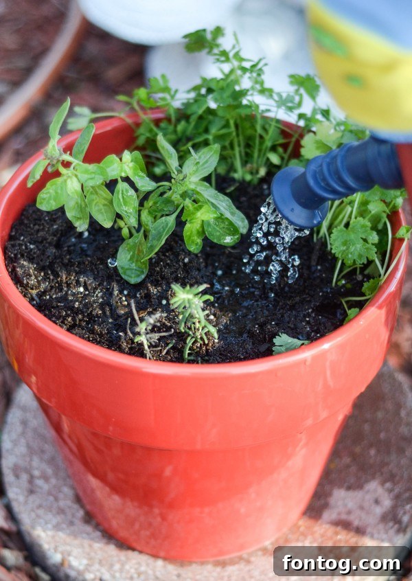 Start Right, End Right this Spring #StartRightEndRight #CG #Ad 