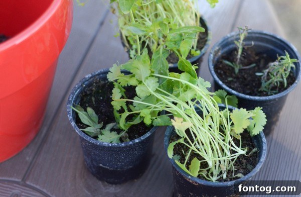 Start Right, End Right this Spring #StartRightEndRight #CG #Ad 