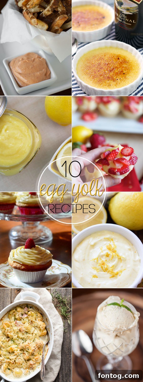 10 Versatile Egg Yolk Recipes for Culinary Delights