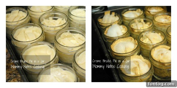 Our Backyard Chickens Producing Fresh Eggs