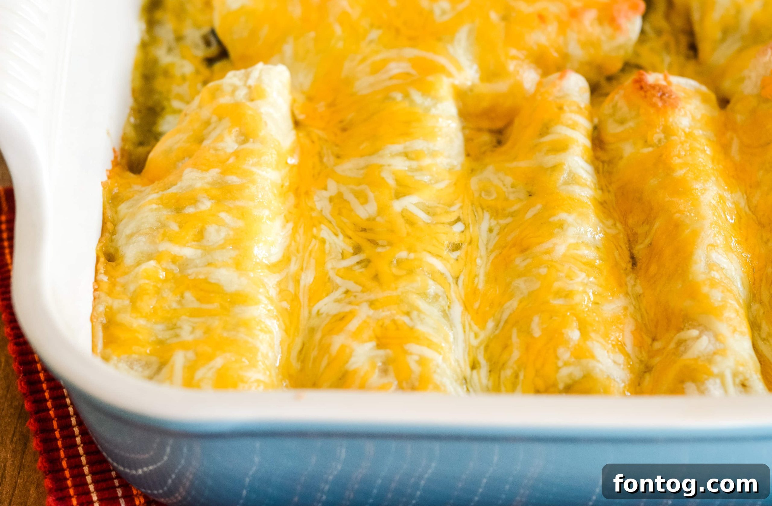 Plate of Cheesy Chicken Enchiladas topped with fresh cilantro, a delicious and easy weeknight meal.