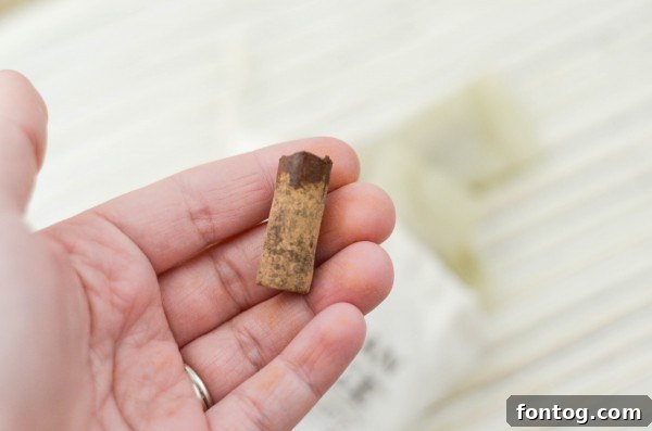 American Heritage Chocolate Bites: Spicy and Rich Flavor Profile #ChocolateHistory #IC AD