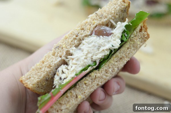 Ingredients for Rosemary Chicken Salad laid out: cooked chicken, green onions, yogurt, mayo, and rosemary.
