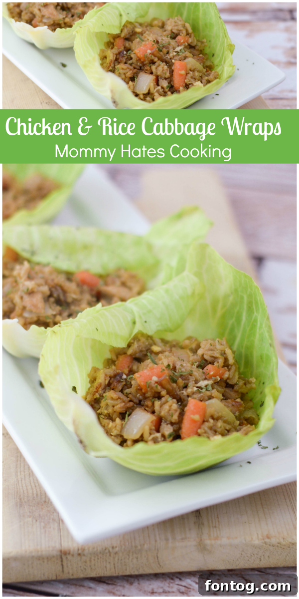 Delicious Chicken & Rice Cabbage Wraps served warm
