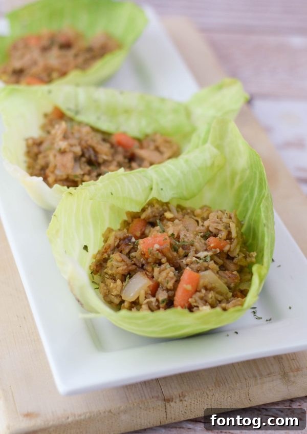 Array of fresh ingredients for Chicken & Rice Cabbage Wraps