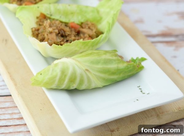 Finished Chicken & Rice Cabbage Wraps on a plate, ready to eat