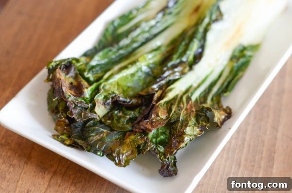 Grilled Bok Choy halves, perfectly charred and glistening with an Asian sauce, ready to be served