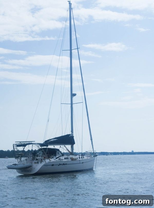 Kids enjoying the ropes course at Lulu's Gulf Shores