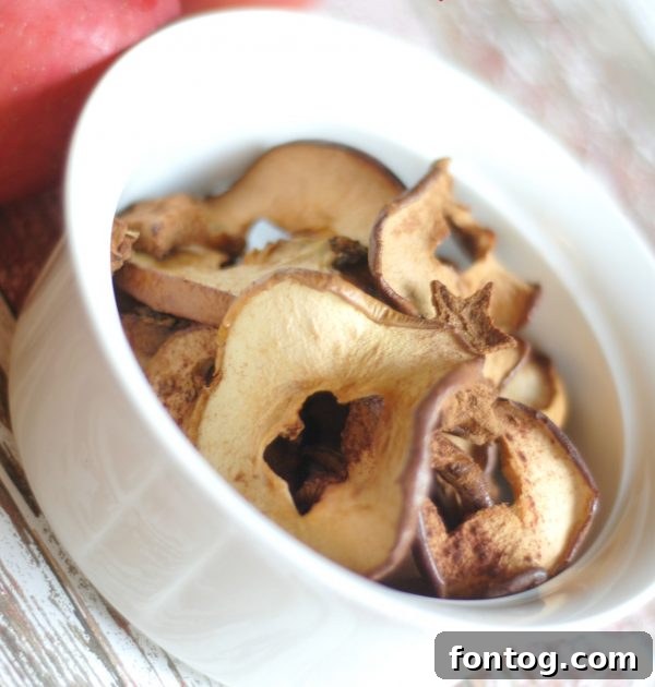 45 Smart & Simple School Lunch Ideas 4 Back to School Lunchbox Ideas: Baked Apple Chips